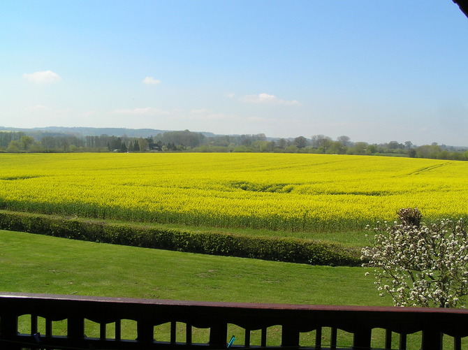 Ferienwohnung in Behrensdorf - Lissis  Appartement - Blick vom Balkon