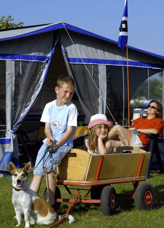 Ferienhaus in Behrensdorf - Camp-Waldesruh 3 - Bild 6