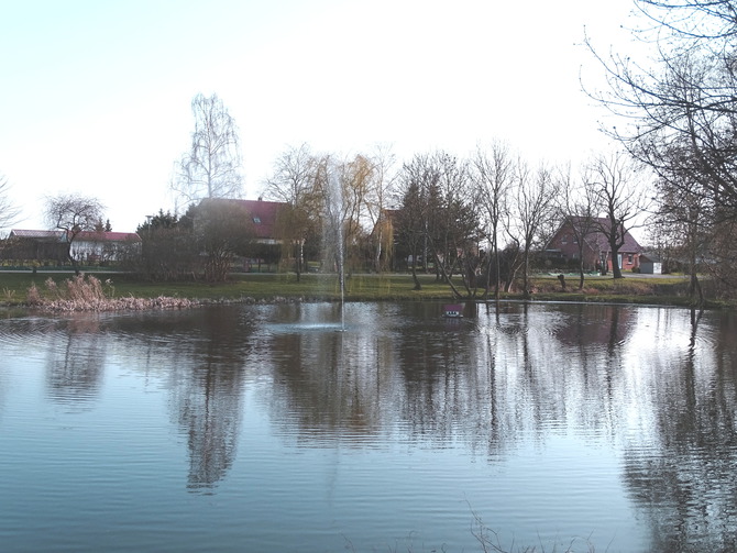 Ferienhaus in Blengow - Wilke - Bild 13