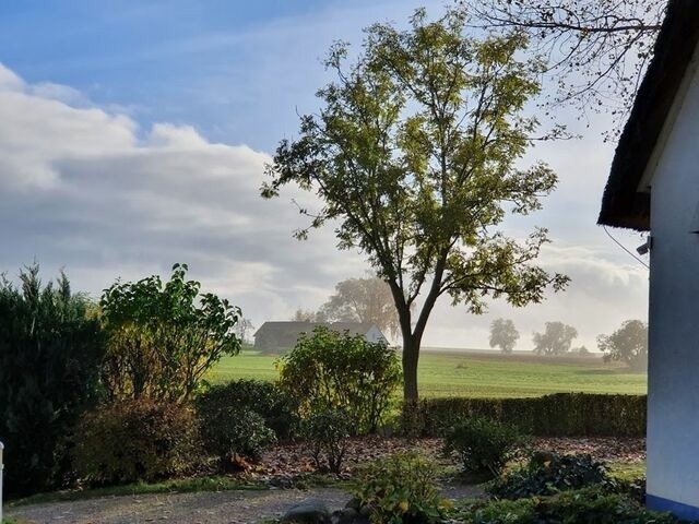 Ferienwohnung in Stolpe - Ferienwohnung A2 im Landhaus am Haff - Bild 12